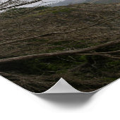 California Panoramic 12 Poster (Ecke)