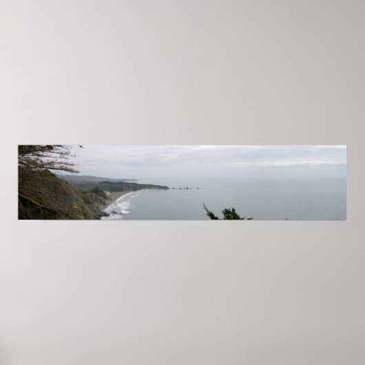 California Panoramic 12 Poster (Vorne)