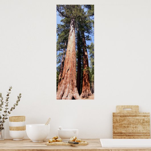 California Panoramic 1 Poster (Küche)