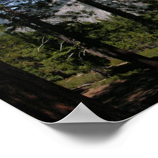 California Panoramic 5 Poster (Ecke)