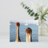 California Pelicans Postkarte (Stehend Vorderseite)