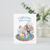 California Poodle Postkarte (Stehend Vorderseite)