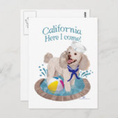 California Poodle Postkarte (Vorne/Hinten)
