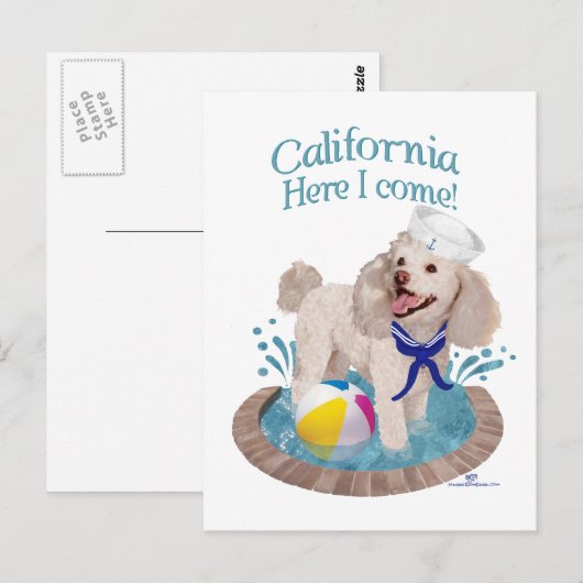 California Poodle Postkarte (Vorne/Hinten)