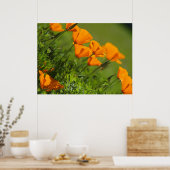 California Poppies 2011 Print Poster (Küche)