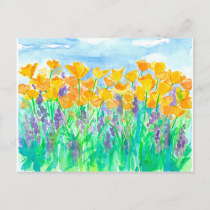 California Poppies Aquarellmalerei Postkarte