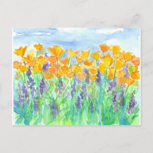 California Poppies Aquarellmalerei Postkarte (Vorderseite)