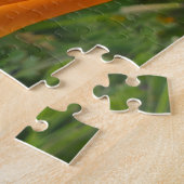 California Poppies as Buds Puzzle (Seite)