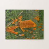 California Poppies as Buds Puzzle (Horizontal)