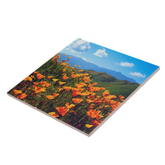 California Poppies Covering a Hillside Fliese (Seite)