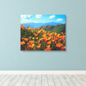 California Poppies Covering a Hillside Leinwanddruck (Insitu (Holzboden))