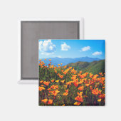 California Poppies Covering a Hillside Magnet (Vorderseite/Rückseite)