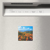 California Poppies Covering a Hillside Magnet (In Situ (Geschirrspüler))