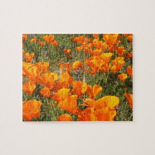 California Poppies Jigsaw Puzzle (Horizontal)