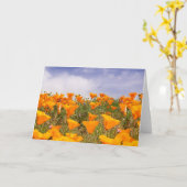 California Poppies Landschaft Karte (Gelbe Blume)