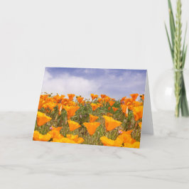 California Poppies Landschaft Karte