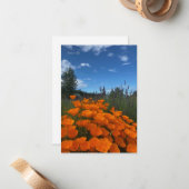 California Poppies & Lavender Mitteilungskarte (Vorderseite/Rückseite Beispiel)