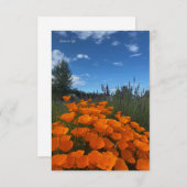 California Poppies & Lavender Mitteilungskarte (Vorne/Hinten)