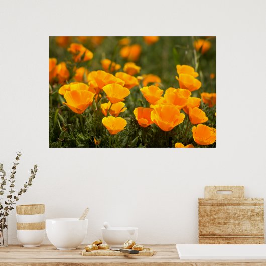 California poppies, Montana de Oro State Park Poster (Küche)