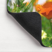 California Poppies Mousepad (Ecke)