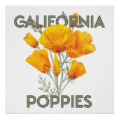 California Poppies Poster (Vorderseite)
