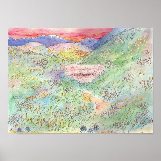 California Poppies Poster (Vorne)