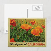 California Poppies Postkarte (Vorne/Hinten)
