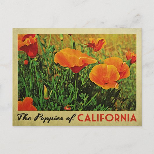 California Poppies Postkarte (Vorderseite)