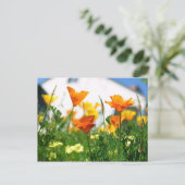 California Poppies Postkarte (Stehend Vorderseite)