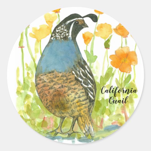California Poppies Quail Bird Wassercolor Runder Aufkleber (Vorderseite)