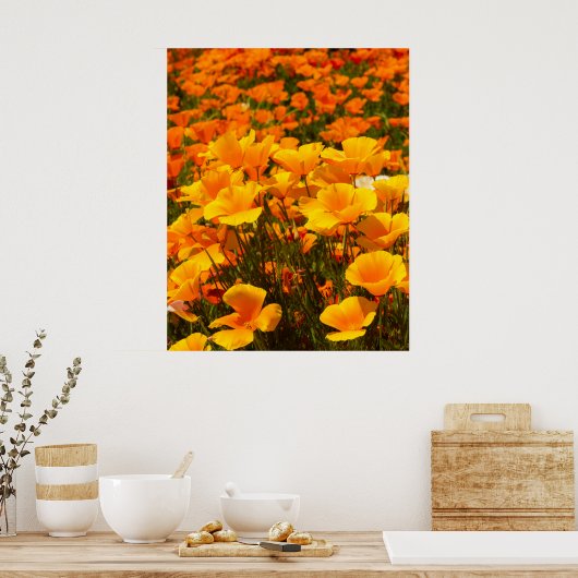California Poppies | Schönheit des Frühlings Poster (Küche)