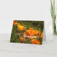 California Poppies Thankyou! Karte
