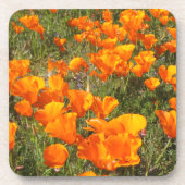 California Poppies Untersetzer Set (Vorderseite)