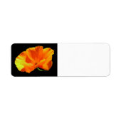 California Poppy (Vorne)
