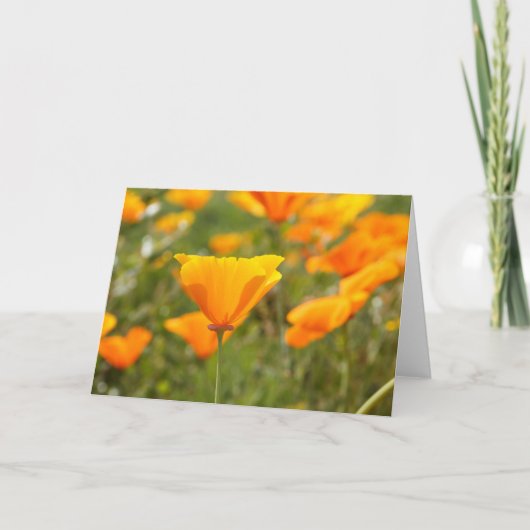 California Poppy Blank Greeting Card Karte (Vorderseite)