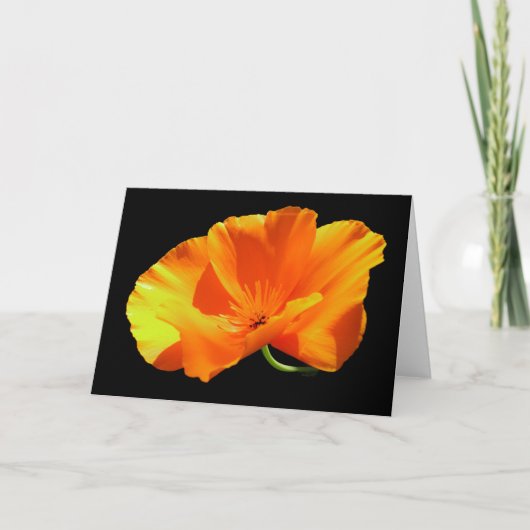 California Poppy Blank Karte (Vorderseite)