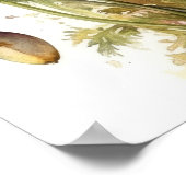 California Poppy Blume Art Print Poster (Ecke)