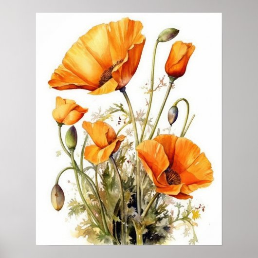 California Poppy Blume Art Print Poster (Vorne)