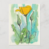 California Poppy Blume Bloom Spring Green Postkarte (Vorderseite)