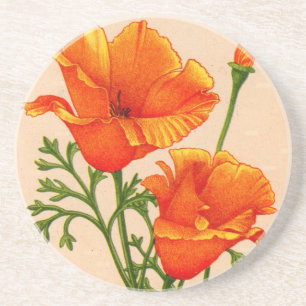 California poppy California poppies in orange Untersetzer