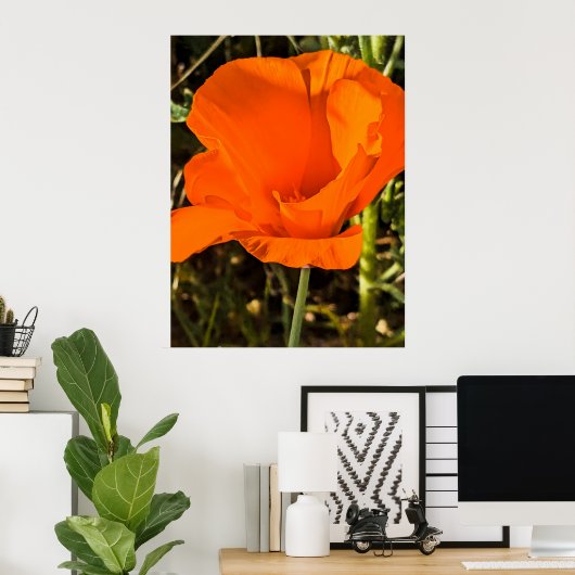 California Poppy - California Poppy 4 Poster (Heimbüro)
