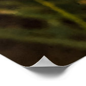 California Poppy - California Poppy 4 Poster (Ecke)