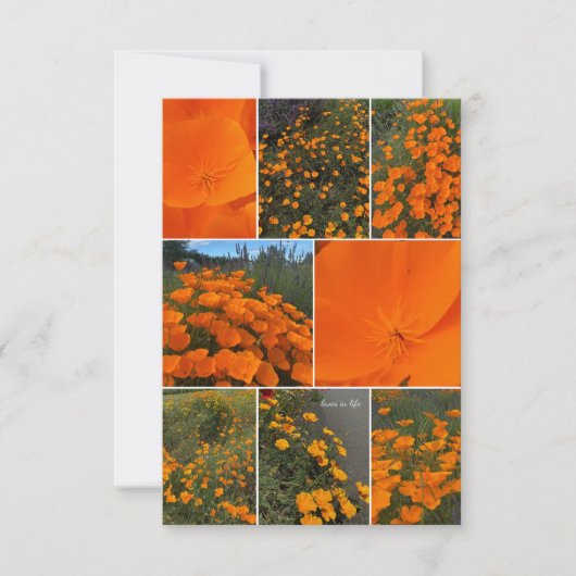 California Poppy Collage Mitteilungskarte (Vorderseite)