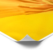 California Poppy Collage Poster (Ecke)