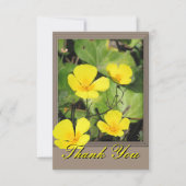 California Poppy Danke-Card Dankeskarte (Vorderseite)