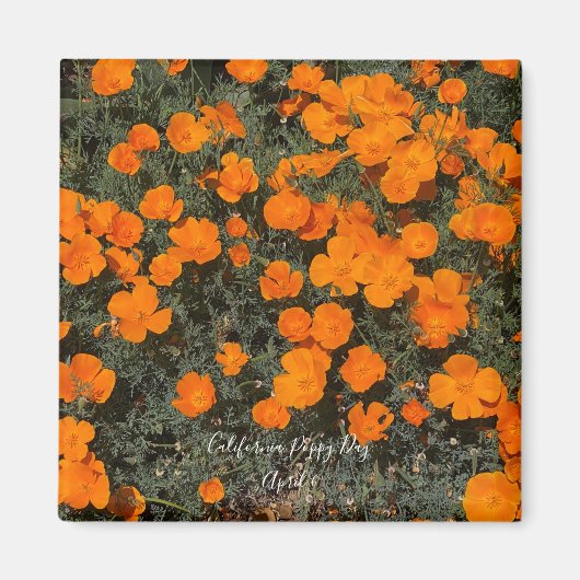 California Poppy Day Magnet (Vorne)
