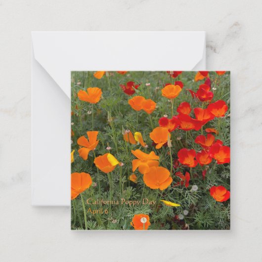California Poppy Day Mitteilungskarte (Vorderseite)