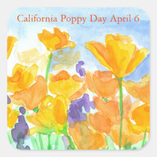California Poppy Day Watercolor-Blume Quadratischer Aufkleber