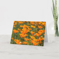 California Poppy Field Blank Grußkarte