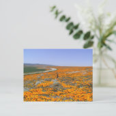 California Poppy Field Postkarte (Stehend Vorderseite)